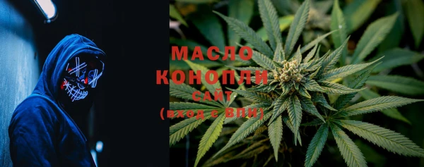 индика Новозыбков
