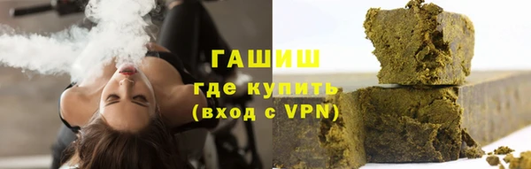 индика Новозыбков