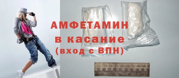 индика Новозыбков