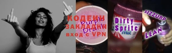 индика Новозыбков