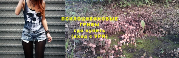 героин Алексин