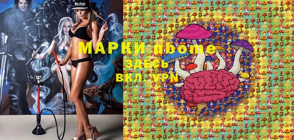 индика Новозыбков