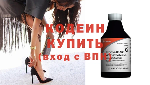 индика Новозыбков